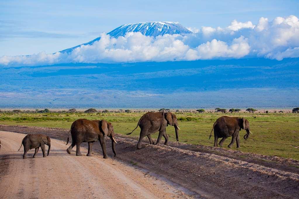 Amboseli Serena Safari Lodge Fasiliteter bilde