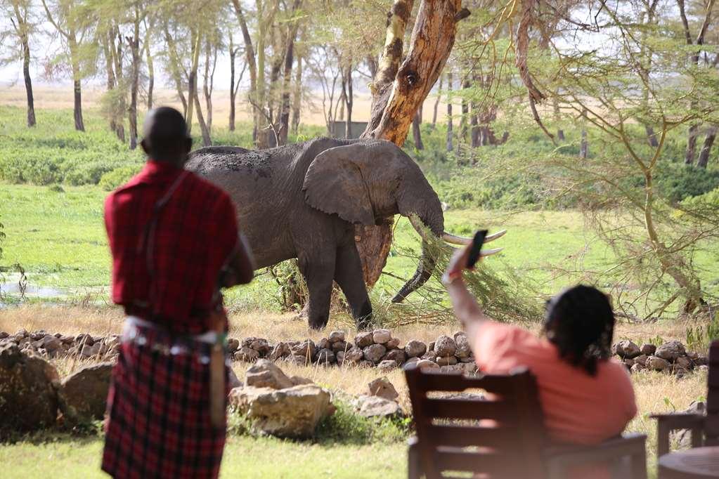 Amboseli Serena Safari Lodge Fasiliteter bilde