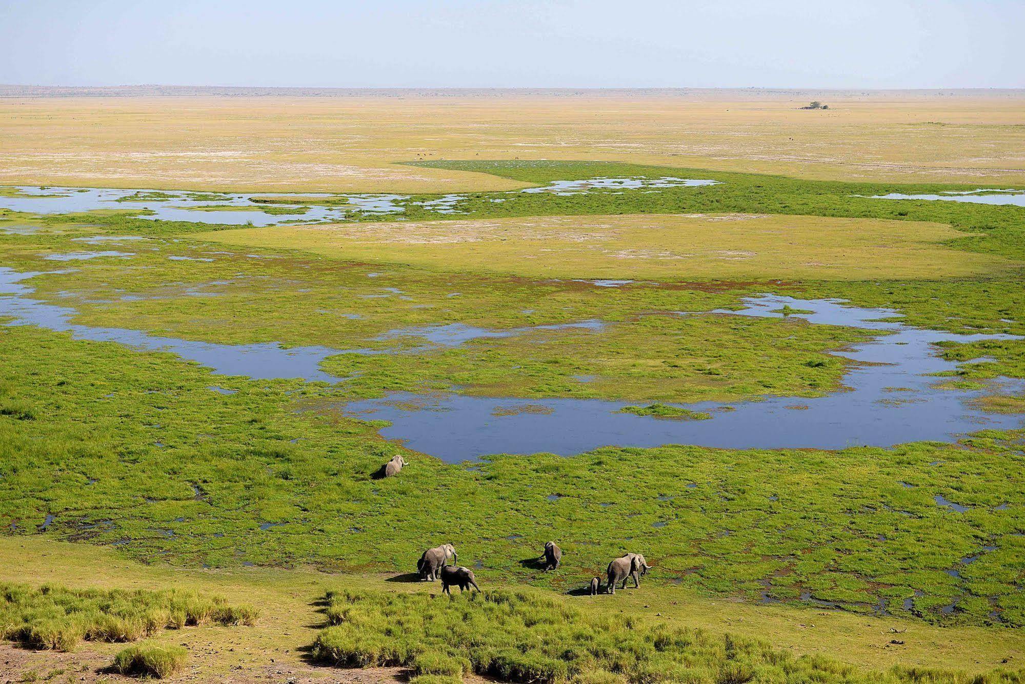 Amboseli Serena Safari Lodge Eksteriør bilde
